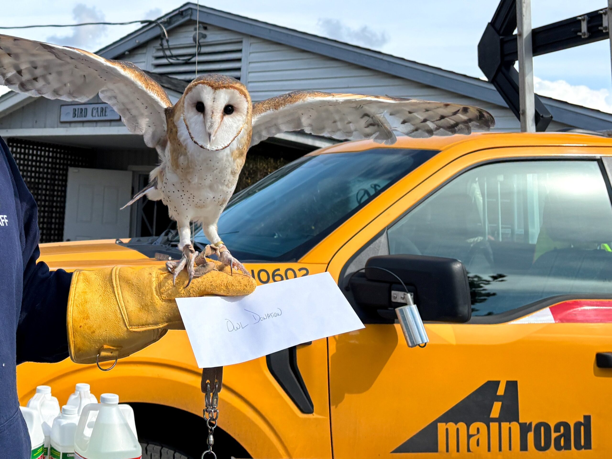 Mainroad Spreads Its Wings!