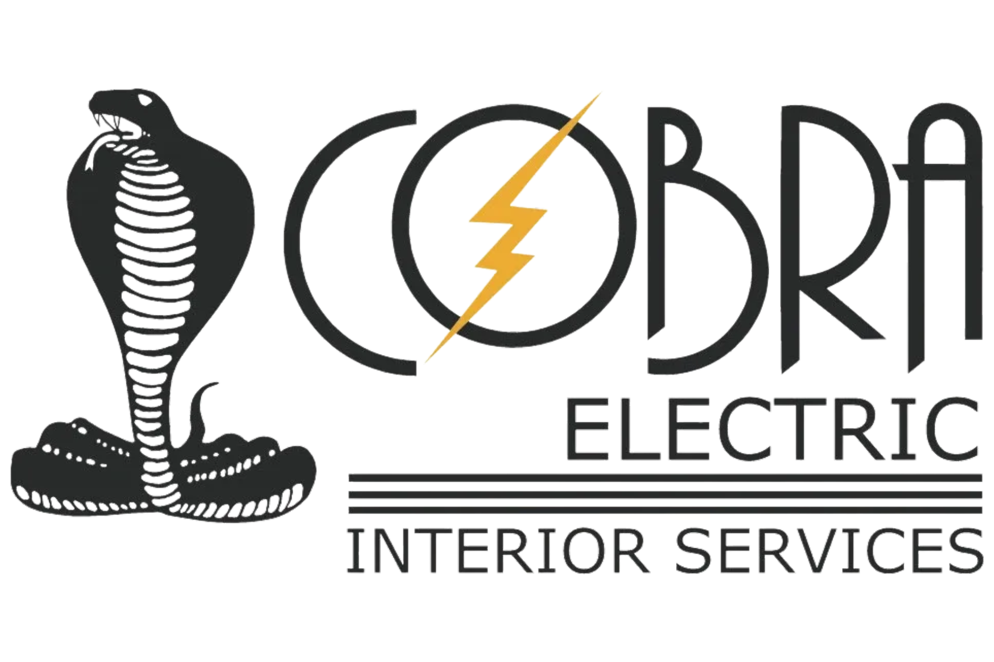 (INTERNAL) CEI Transparent cobra electric logo